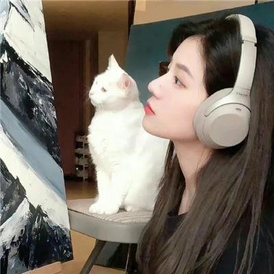 母牛总动员